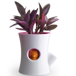 Qualy Log &amp; Squirrel Selvvandingspotte Hvid/Pink