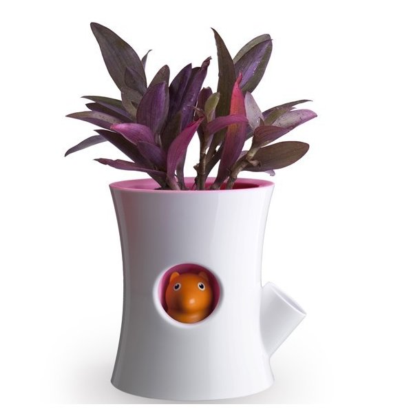 Qualy Log och Ekorre Sjlvvattnspotting Vit/Pink