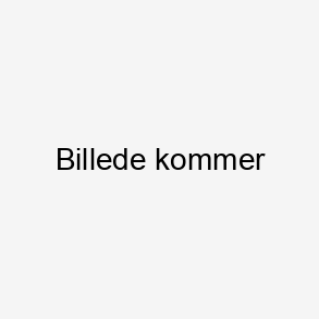 Brabantia NewIcon Pedalspand 12 liter, m/plast inderspand - Mineral Powerful Blue