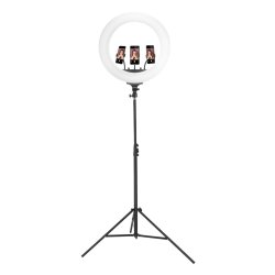 Map Ring light H 1.7 meters - 56 cm