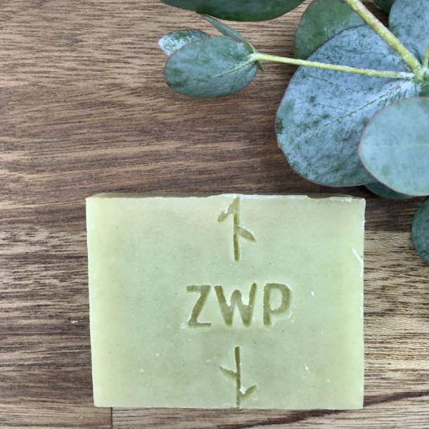 Zero Waste Path - Shampoo Bar Aloe Vera til Normalt Hr (100 g)