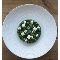 Revol ArborescencE Tallerken 31 cm Creme