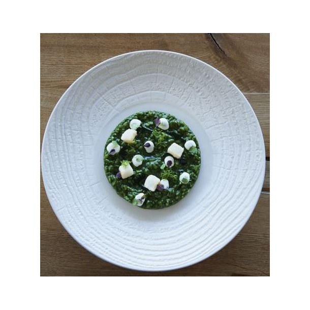 Revol ArborescencE Tallerken 31 cm Creme