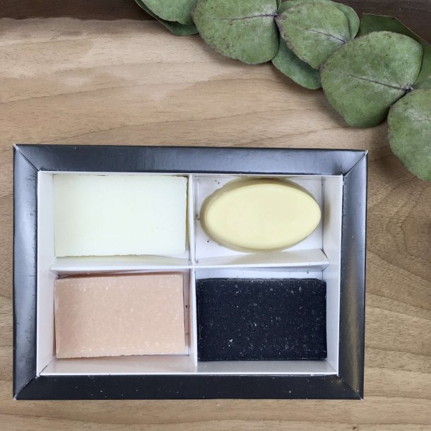 Balade en Provence - �kologisk Survival Kit til M�nd (4 x 20 g)