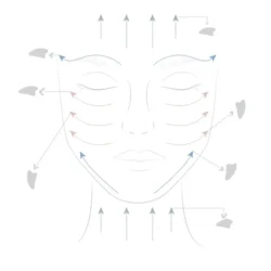 Sun &amp; Sia Jade Champi Gua Sha i Mushroom Form