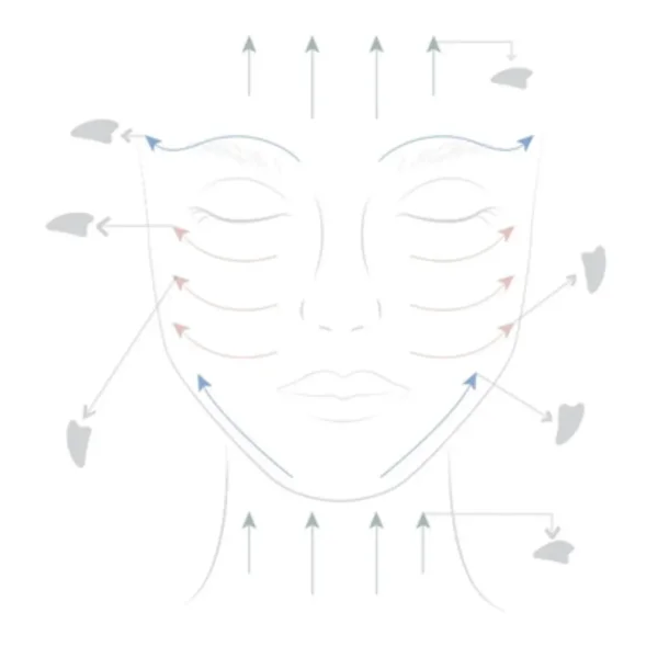 Sun &amp; Sia Jade Champi Gua Sha i Mushroom Form