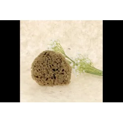 JCH Respect Naturlig Svamp