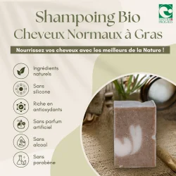 Sun &amp; Sia �kologisk Shampoo Til Normalt Og Fedtet H�r (100 g)