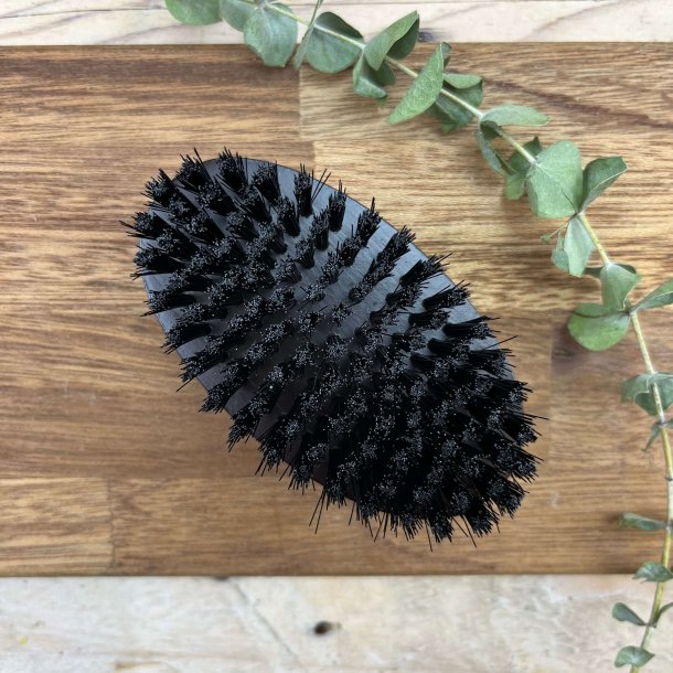 Parsa - Skgbrste i tr