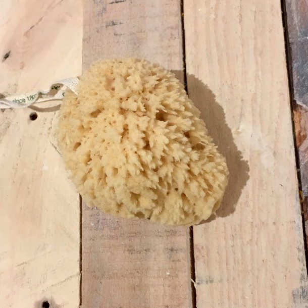 C&D - Naturlig Badesvamp (10 cm)