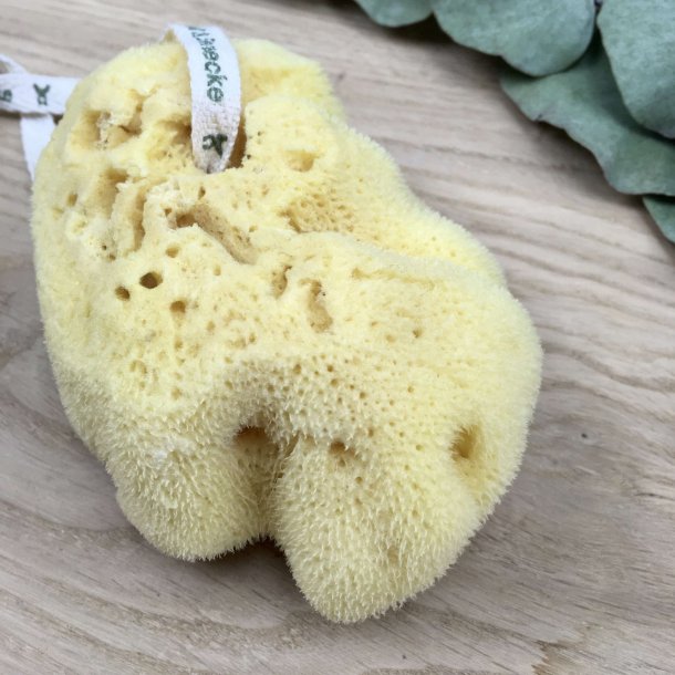 C&D - Naturlig Silkesvamp (10 cm)