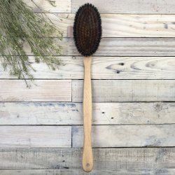 Trbrste Energi i Mrkt Tr