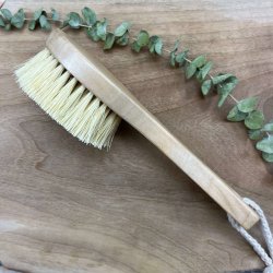 Donegal - Tr- &amp; Badebrste m. Skaft