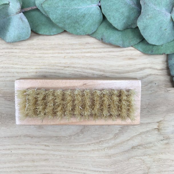 C&D - Neglebrste i Tr