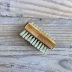 Lille Neglebrste i Oliventr