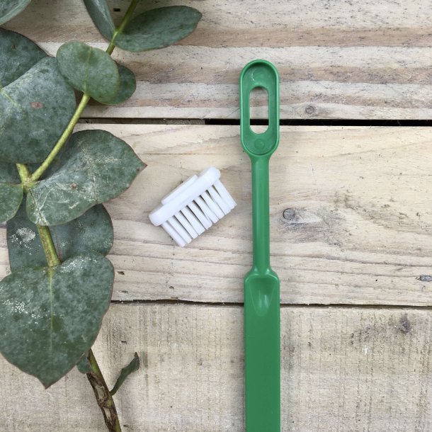 Caliquo - Tandbrste i Bioplast med Udskifteligt Hoved - Grn - Medium