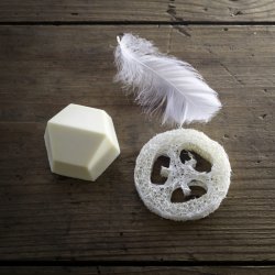 Solidu Komposterbar Sbeholder