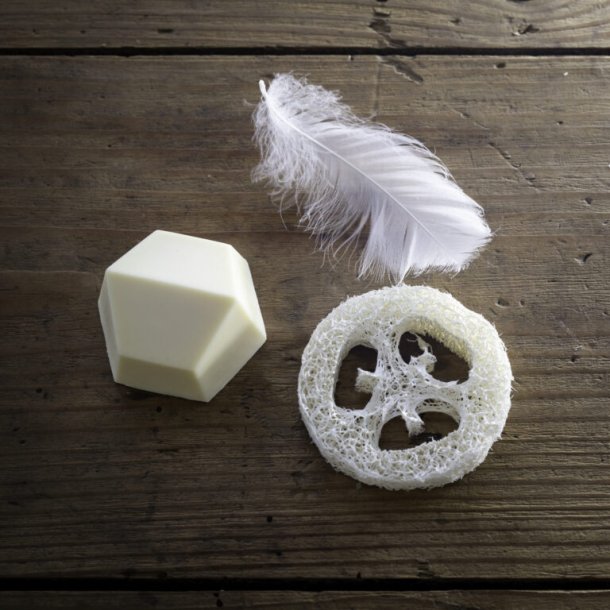 Solidu Komposterbar Sbeholder