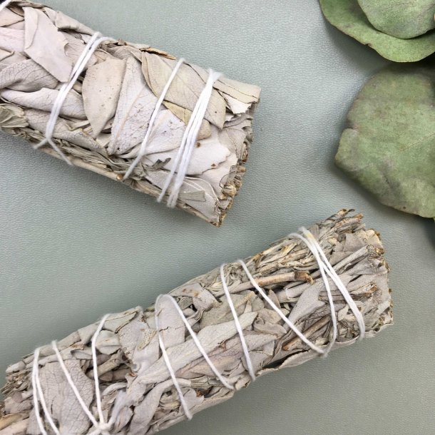 Hvid og Bl Salvie Bundt (10 cm)