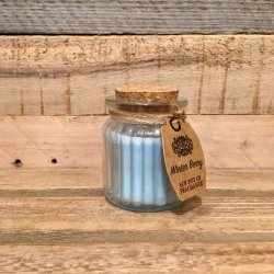 Sojalys i Krukke med Duft - Winter Berry (60g)