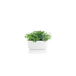 Eva Solo Herb Organiser Hvid Selvvandende