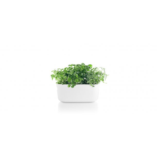 Eva Solo Herb Organiser White