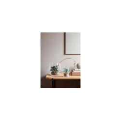 Eva Solo Sukkulent Glasvase -  15 cm