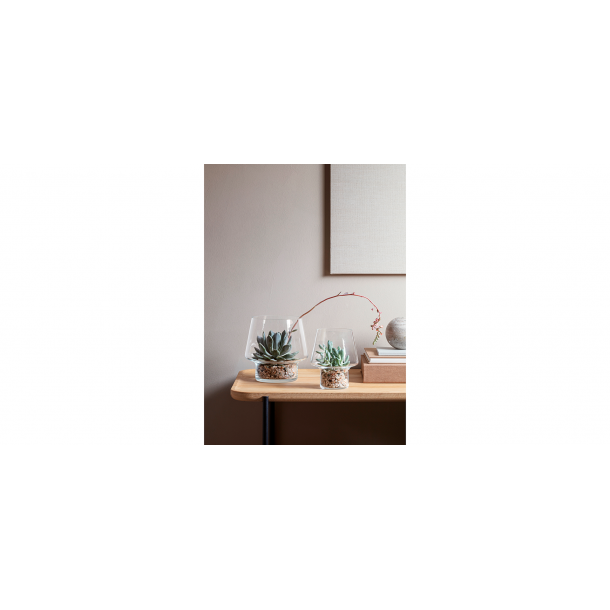 Eva Solo Sukkulent Glasvase -  15 cm