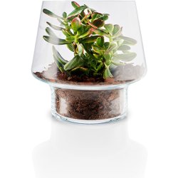 Eva Solo Sukkulent Glasvase -  21 cm