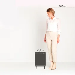 Brabantia Bo Affaldsspand Hi 12 Liter - Matt Steel Fingerprint Proff