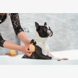 HappySoaps Hunde Shampoo Bar - Til Kort H�ret Hunde