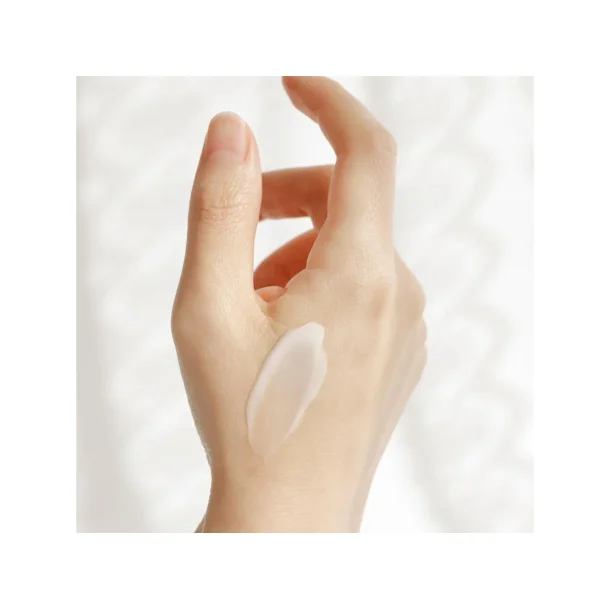 Beauty Of Joseon Dynasty Cream Hydrating 50 ml