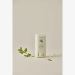Beauty Of Joseon Matte Sun Stick Mugwort Camelia SPF50 18 g