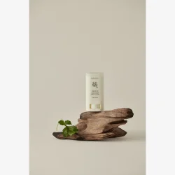Beauty Of Joseon Matte Sun Stick Mugwort Camelia SPF50 18 g