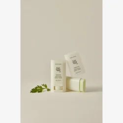 Beauty Of Joseon Matte Sun Stick Mugwort Camelia SPF50 18 g