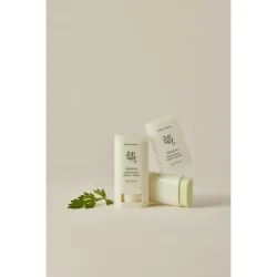 Beauty Of Joseon Matte Sun Stick Mugwort Camelia SPF50 18 g