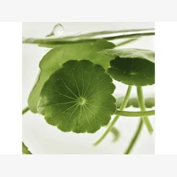 Beauty Of Joseon Light On Serum Centella Vita C 30 ml