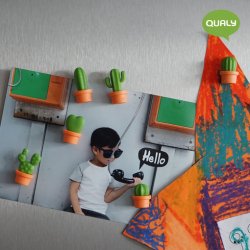 Qualy Kaktus Kleskabsmagneter - Orange og Grn