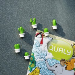 Qualy Kaktus Kleskabsmagneter - Hvid og Grn