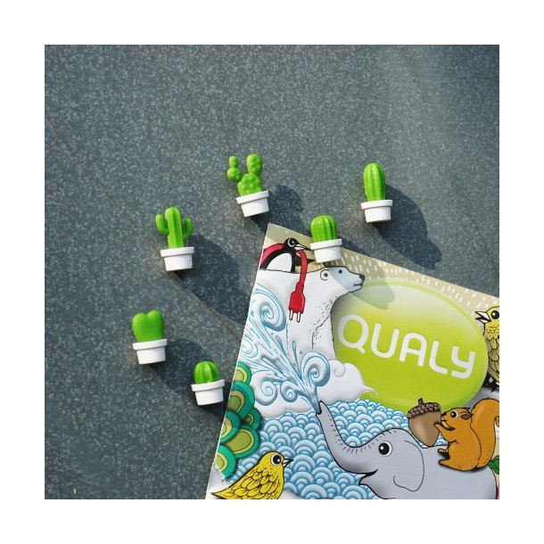 Qualy Cactus magneter - Vitt och grnt