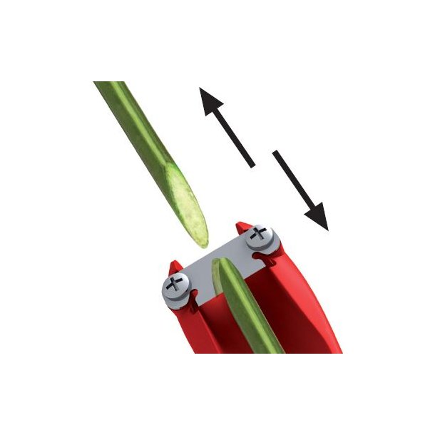 Flux Flower Power rd (1 st)