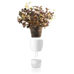 Eva Solo Selvvandende urtepotte - Chalk Hvid 9 cm