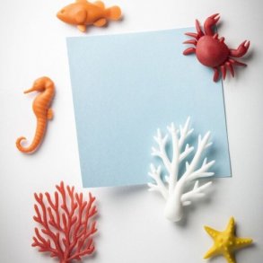 Qualy Magneter - Hav kologi