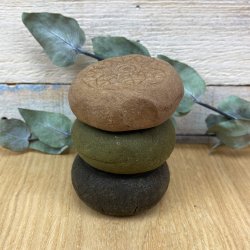 Wilcza Jagoda - Shampoobar Ringing Cedar i etui (70g)