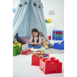 LEGO Iconic Display kasse 