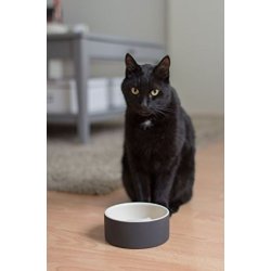 Magisso Katteskl - Keramisk