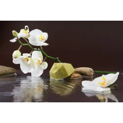 Solidu - Shampoo Bar Neemph - Til Skadet Hr (65 g)