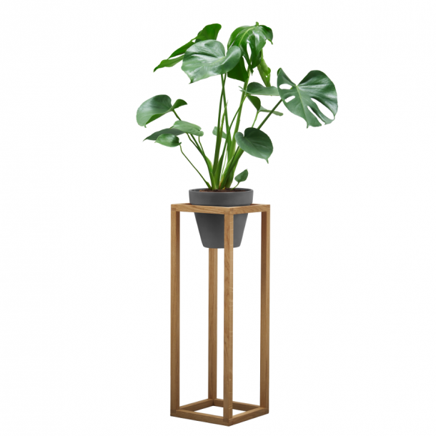 dot aarhus Wood-Up 65cm Punkten