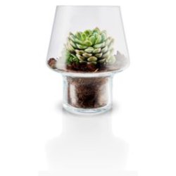 Eva Solo Sukkulent Glasvase -  15 cm