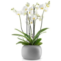 Eva Solo Stone Urtepotte -  19 cm